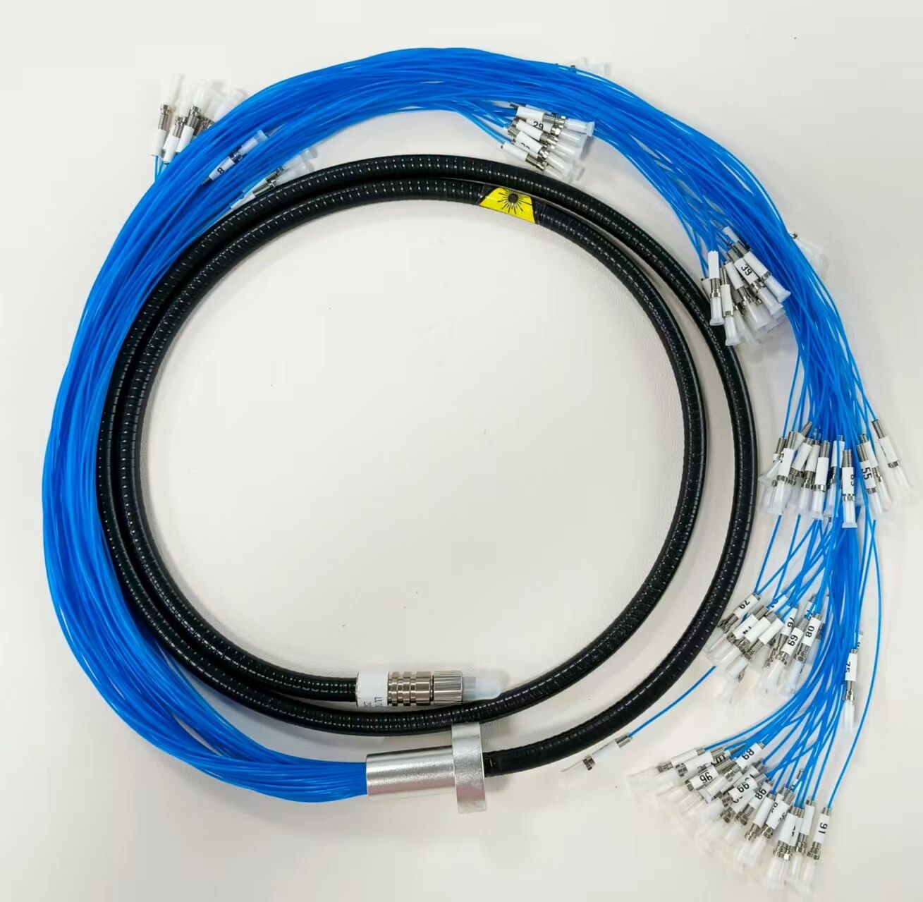 圖片_20251104155856